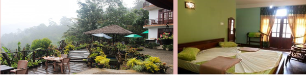 Ella Flower Garden © Travelanka Tours