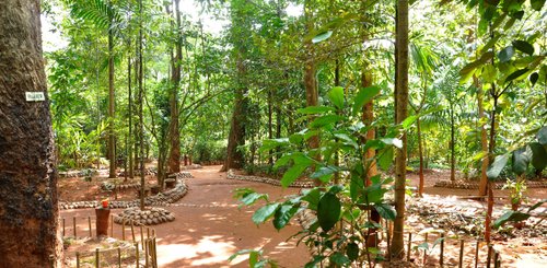 Gewürzgarten Matale