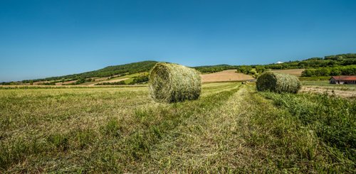 Rund um das Dorf Yronde 