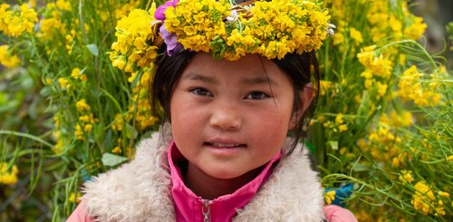 blühender Raps und Hmong Suoi Giang