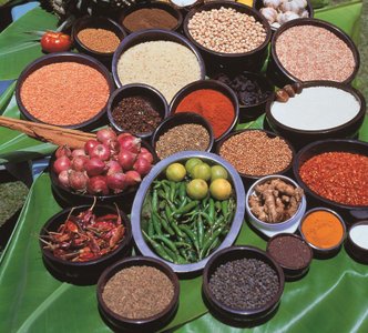 Gewürze sind ein unverzichtbarer Bestandteil des Essen in Sri Lanka