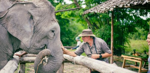 Elefantenbegegnung - The Bush Camp Chiang Mai Nordthailand