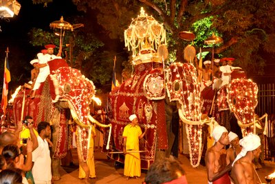 Abendlicher Umzug am Perahera Fest in Kandy 