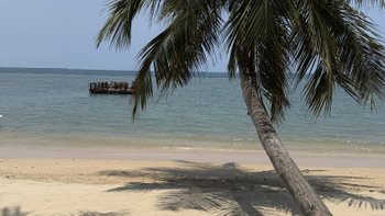 feinster Sandstrand und romantische Palmen vor dem Sun Siyam Pasikudah