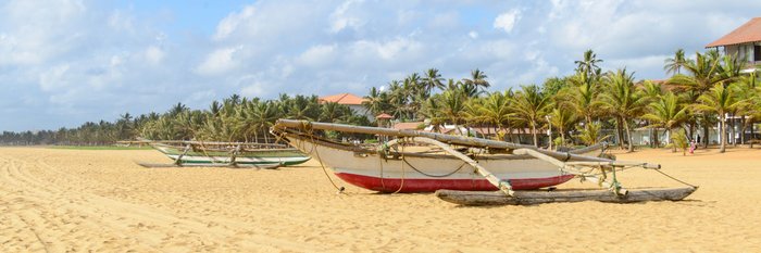 Negombo Sri Lanka Strand
