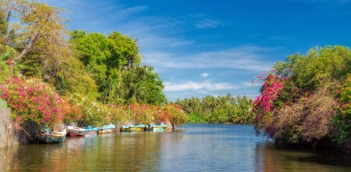 Negombo Dutch Canal