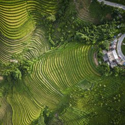 Topas Ecolodge Sapa einzigartige Lage