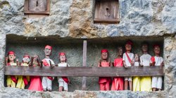 Sulawesi Toraja - Tau Tau Puppen Begräbniskult
