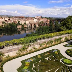 Albi 