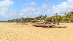 Negombo Sri Lanka Strand