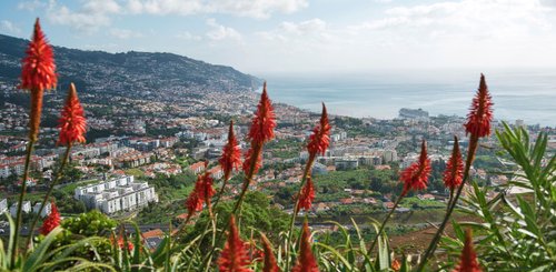 Funchal Madeira