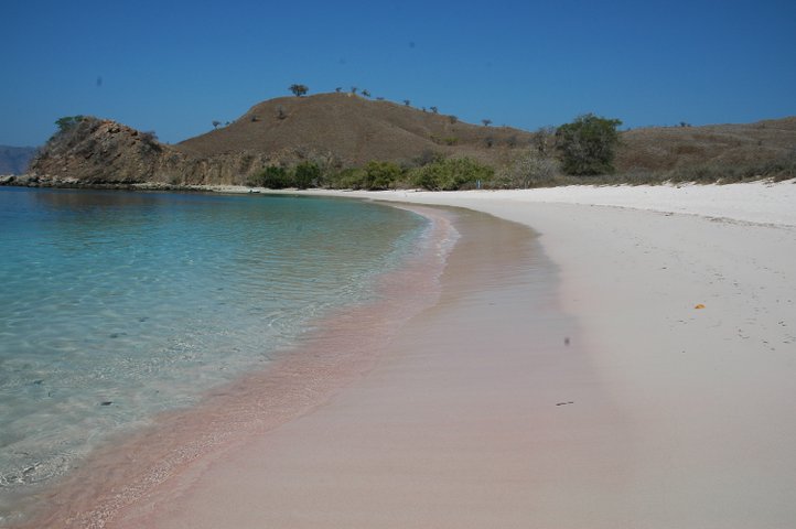 Pink Beach im Komodo Nationalpark