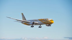 Scoot Boeing 787 Dreamliner