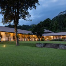 Simpson´s Forest (Deluxe Tea Room Block)