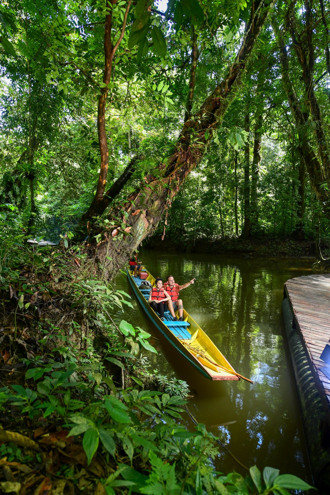Mulu Höhlen Unesco Welterbe im Dschungel Borneos
