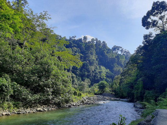 Fluss Gunung Leuser Sumatra