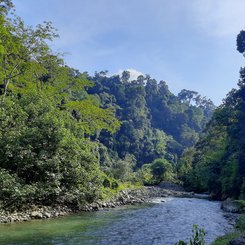 Fluss Gunung Leuser Sumatra