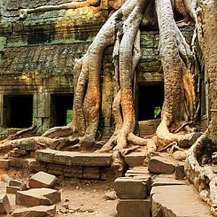 Ruinen in Angkor Kambodscha in Indochina Asien