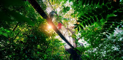 Shangri La Rasa Ria eigenes Nature Reservat mit vielfältiger Fauna und Flora auf Borneo