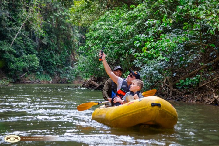 einzigartige Natur in den Mangrovenkanälen