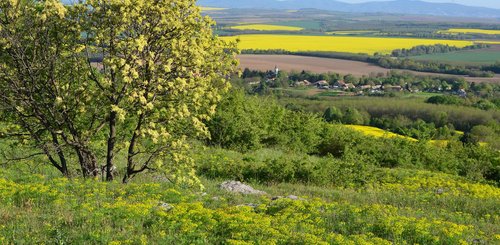 Weinregion Südungarn