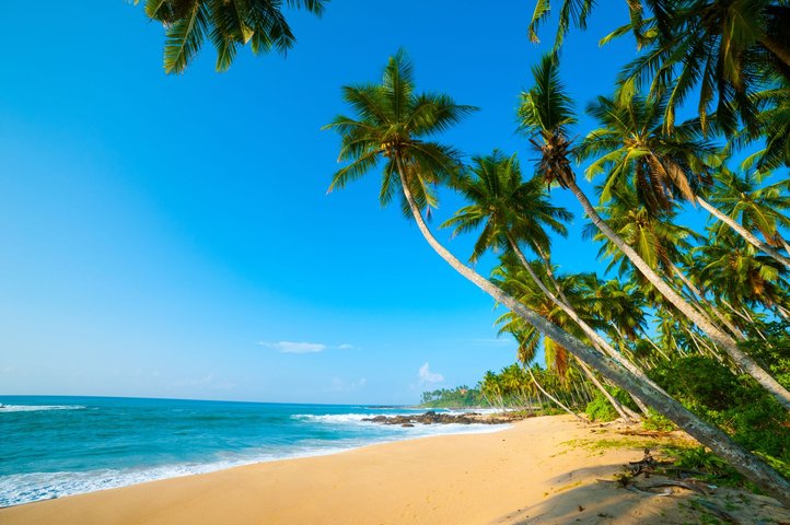 tropischer Traumstrand in Sri Lanka