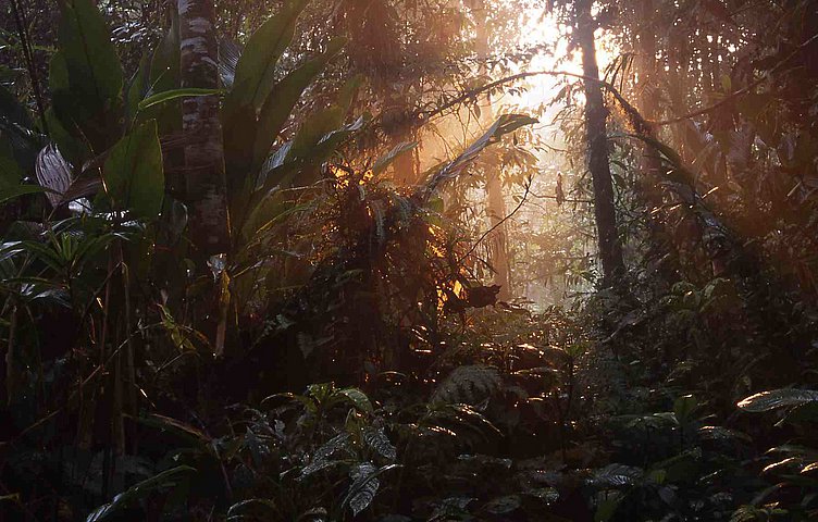 Seram Landschaft