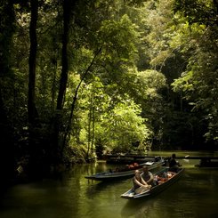 Mulu Höhlen - mit dem Boot durch den Regenwald auf Borneo