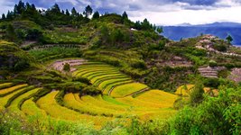 Die Samosir Insel im Norden von Sumatra