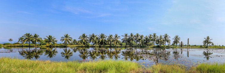 Koh Kong Landschaft