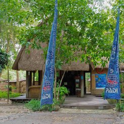 The Menjangan Bali - Padi Dive Center