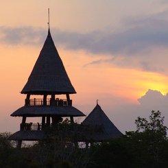 The Menjangan Bali - Bali Tower