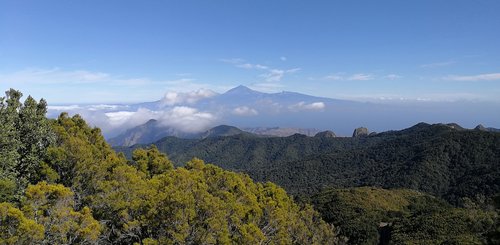 La Gomera Garajonay Nationalpark