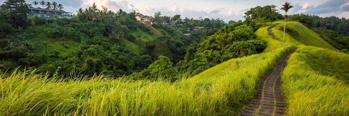 Bali Ubud Steinstrasse