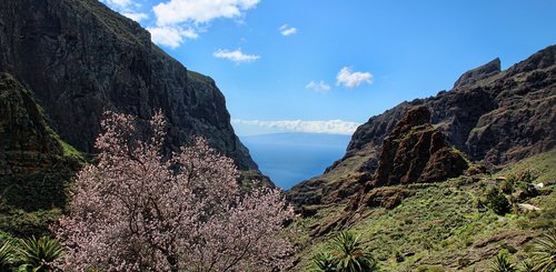 Teneriffa