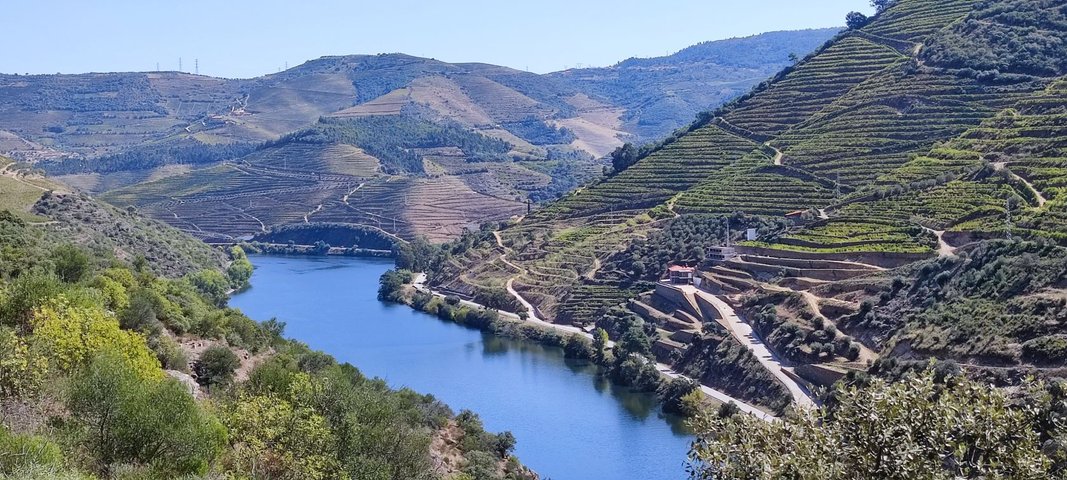 Dourotal Dourotal