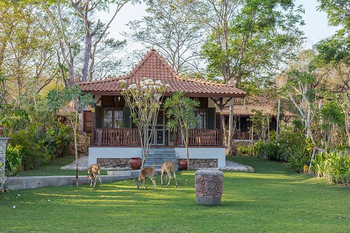 The Plataran Menjangan Bali - One Bedroom Forest Villa