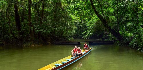 Mulu Höhlen, Tour im Nationalpark im dichten Regenwald 
