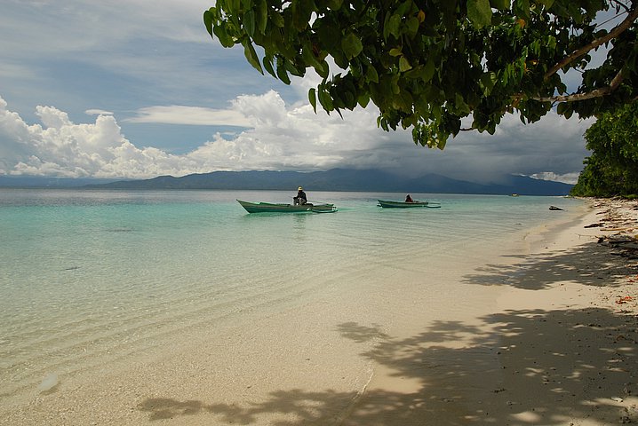 Ambon Pulau Pombo