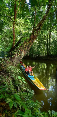 Mulu Höhlen mit dem Boot erreichbar - faszinierende Beobachtungen im Dschungel von Malaysia