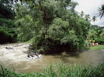 Ayung River Rafting - Bali Soft Adventure