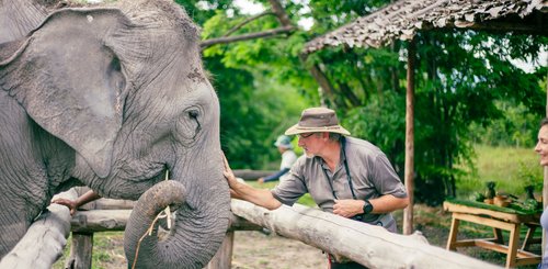 Elefantenbegegnung - The Bush Camp Chiang Mai Nordthailand