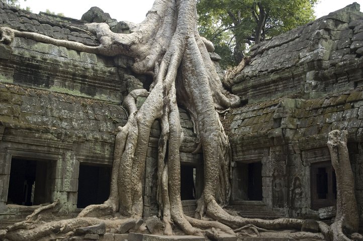 überwachsene Ruinen in Angkor Kambodscha Ta Phrom überwachsene Ruinen in Angkor Kambodscha Ta Phrom