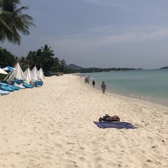 Chaweng - stahlend weißer Traumstrand auf Koh Samui