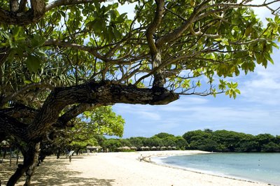 Einreisebedingungen Bali Indonesien