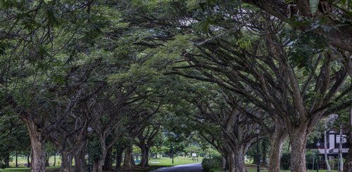 Nexus Resort & Spa Karambunai