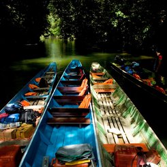 zu Fuß oder mit dem Boot kann man sich im Mulu Nationalpark fortbewegen