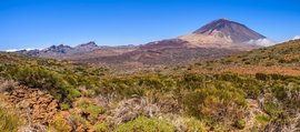 Teide Nationalpark Teneriffa Kanaren Teide Nationalpark Teneriffa Kanaren