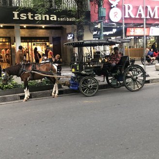 Pferdekutschen sind ein üblicher Anblick in Indonesien. Viele davon natürlich zum Transport von Besuchern durch das Zentrum von Yogyakarta.