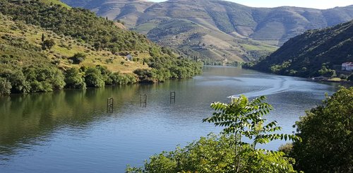Douro Fluss - die Kulturlandschaft mit den Weingärten gehört zum UNESCO Welterbe